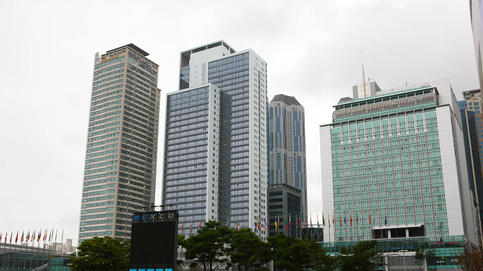 Busan Culture Day: Busan Museum of Art, Museum of Contemporary Art and F1963