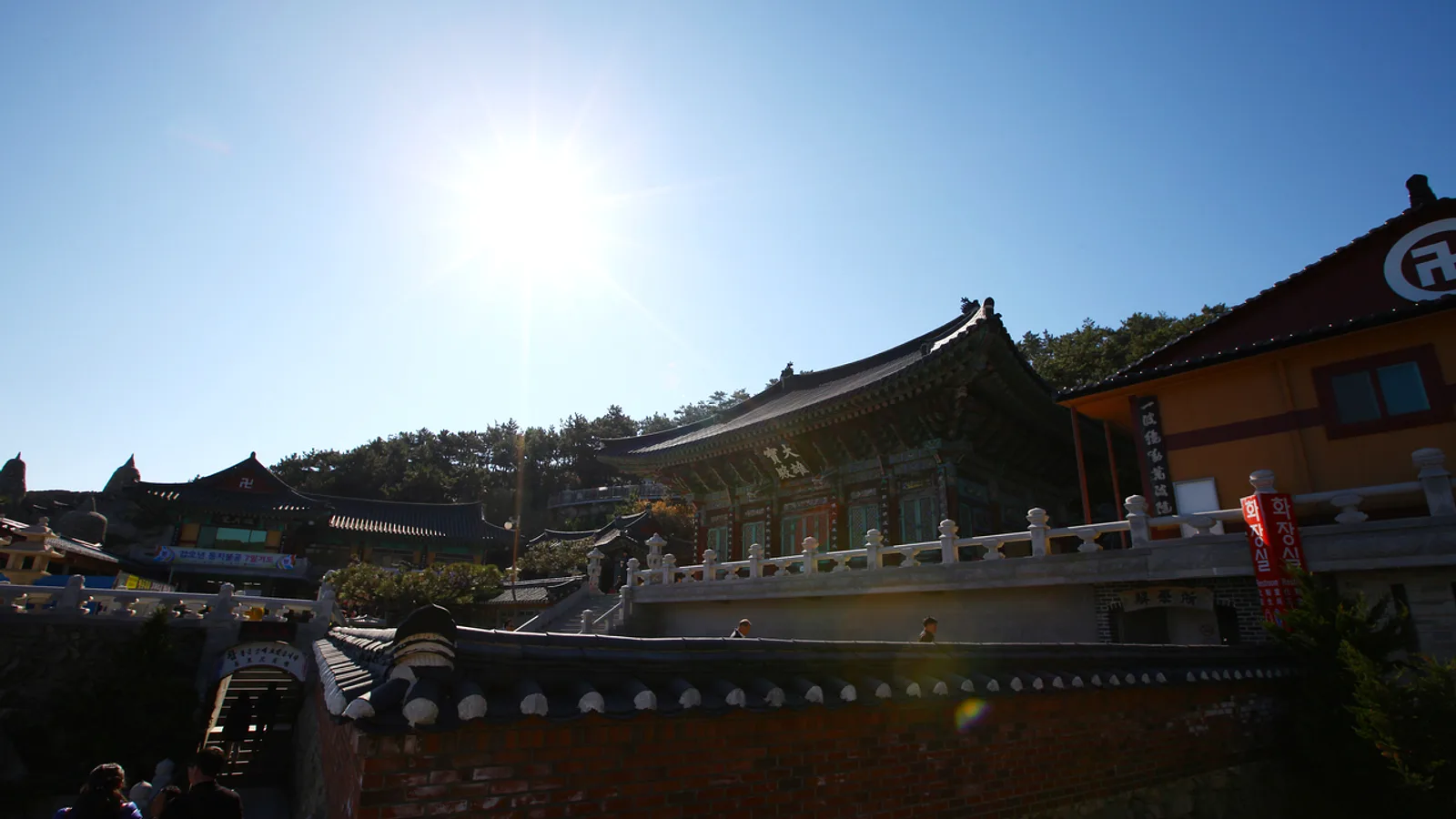 Gijang and Daebyeon Port: Anchovies, Seaweed and Snow Crab on Busan's Fishing Coast