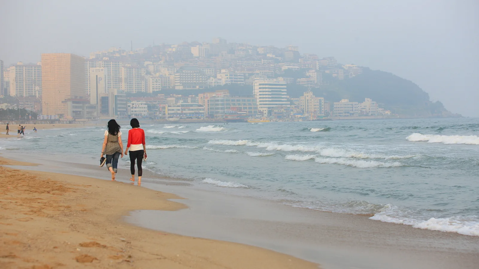 Haeundae Beach and Dongbaek Island: A Practical Seaside Guide to Busan