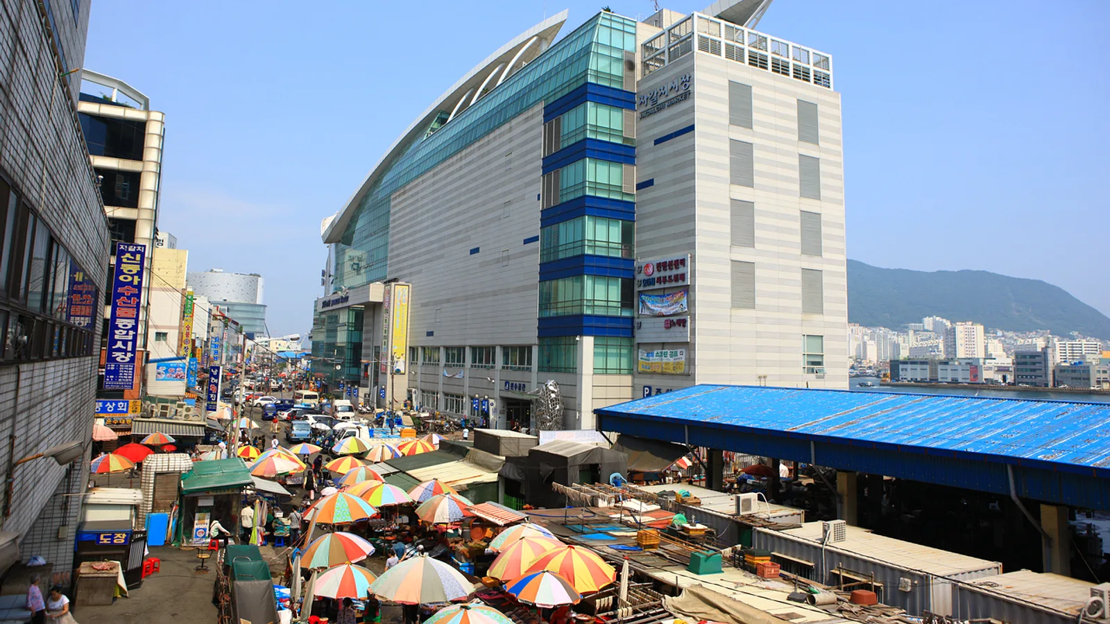 Busan Markets Walk: Jagalchi, Gukje and Bupyeong Kkangtong in One Day