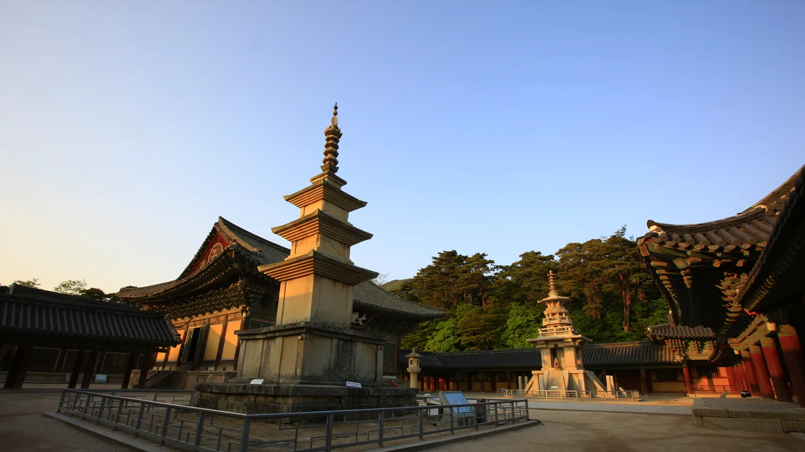 Gyeongju Cherry Blossom Season: Where to Go and How to Plan