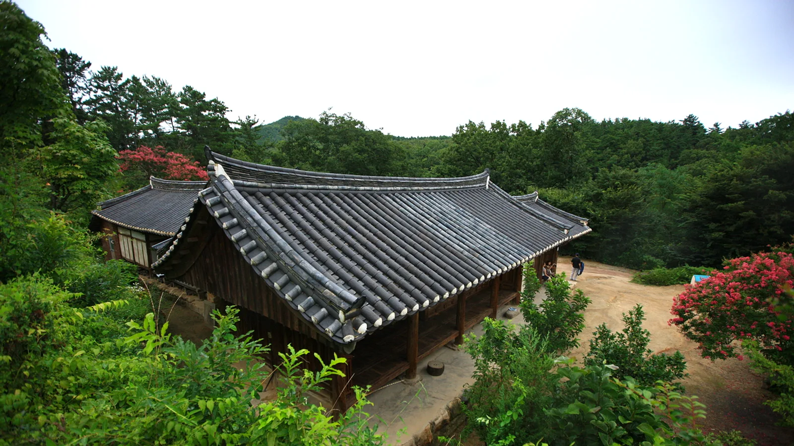 Gyeongju Day Trip from Daegu or Ulsan: Buses, Trains and Getting Around