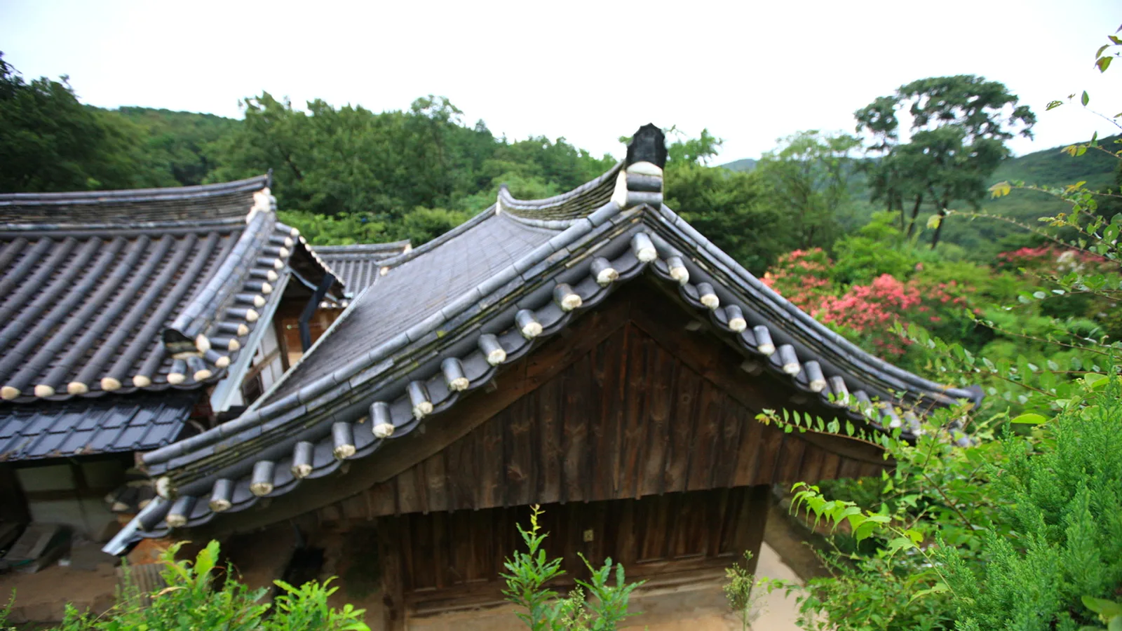 Gyeongju After Dark: Donggung, Wolji and Cheomseongdae Lights
