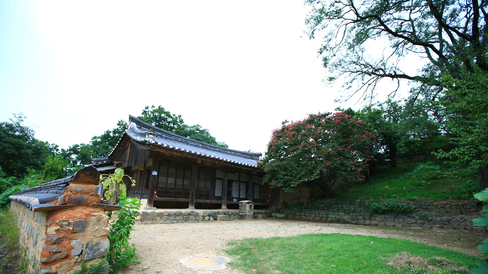 Gyeongju Photo Spots: Tombs at Dawn, Wolji at Night, and the Best Seasons
