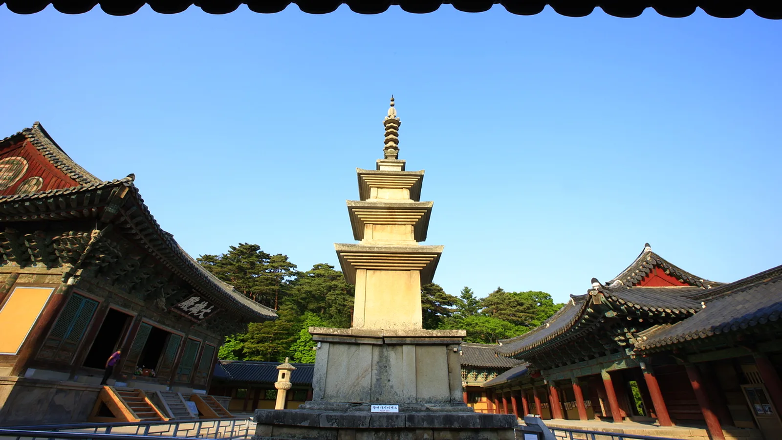Gyeongju on a Rainy Day: Museums, Tea Houses and Covered Sights
