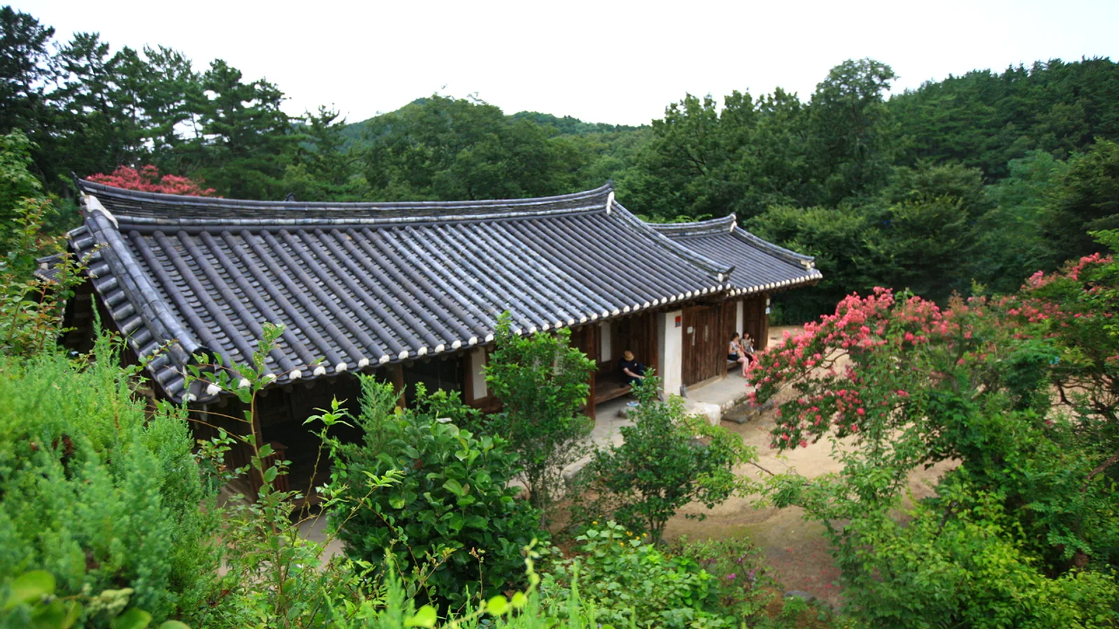 Silla History for Gyeongju Visitors: What the Tombs, Temples and Ponds Mean