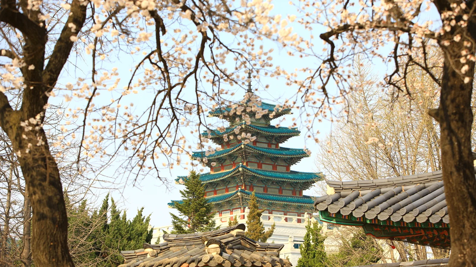 Gyeongbokgung Palace: Guard Ceremony, Free Hanbok Entry and a Visit Order