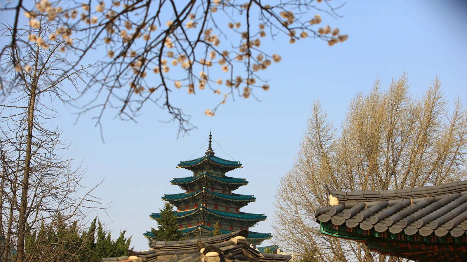Seoul to Busan and Gyeongju by KTX: Booking, Stations and Luggage Tips