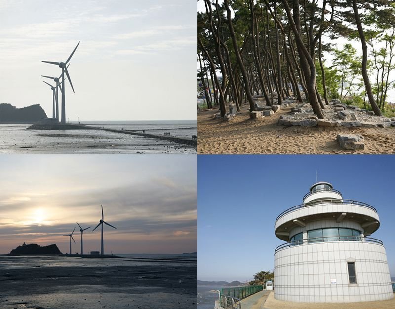 ‘A handful of clams’ in the tidal flat where wind turbines run, Ansan Tando
